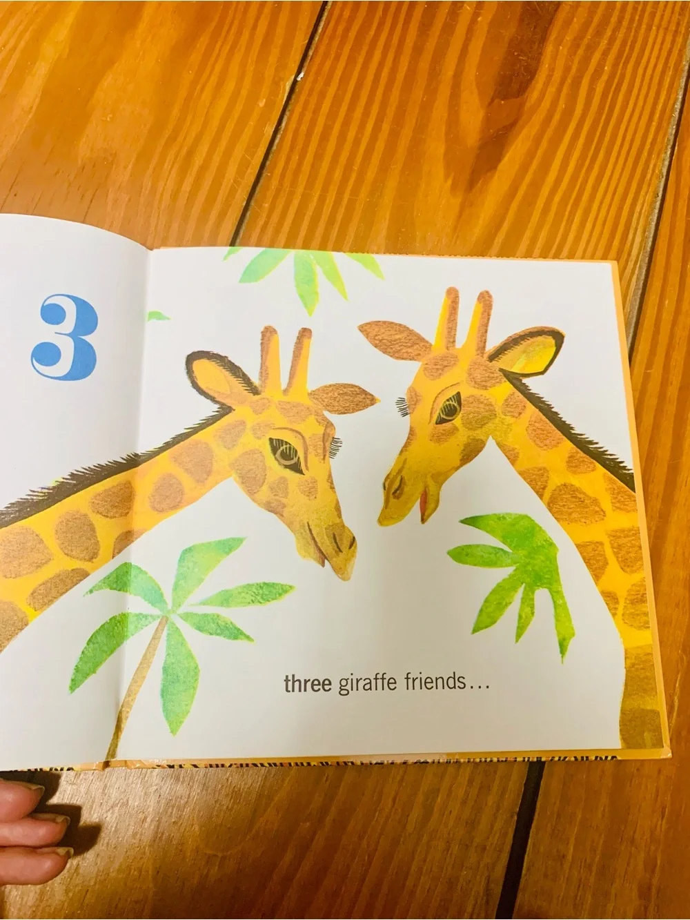 My Counting Book - Lion Cover in Yellow and Orange